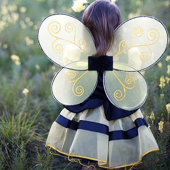 Bumble Bee Wings & Headband Image