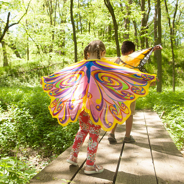 Dreamy Dress-Ups Rainbow Fairy Wings Image