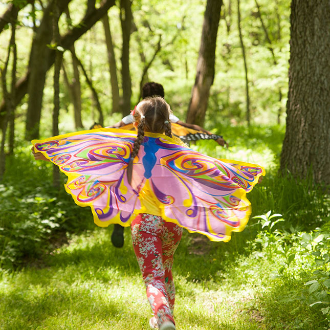 Dreamy Dress-Ups Rainbow Fairy Wings Image