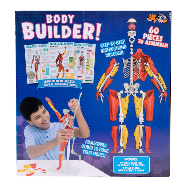 Our Amazing Human Body Science Activity Kit Image