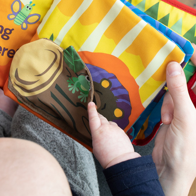 Lamaze Peek-A-Boo Forest Book Image