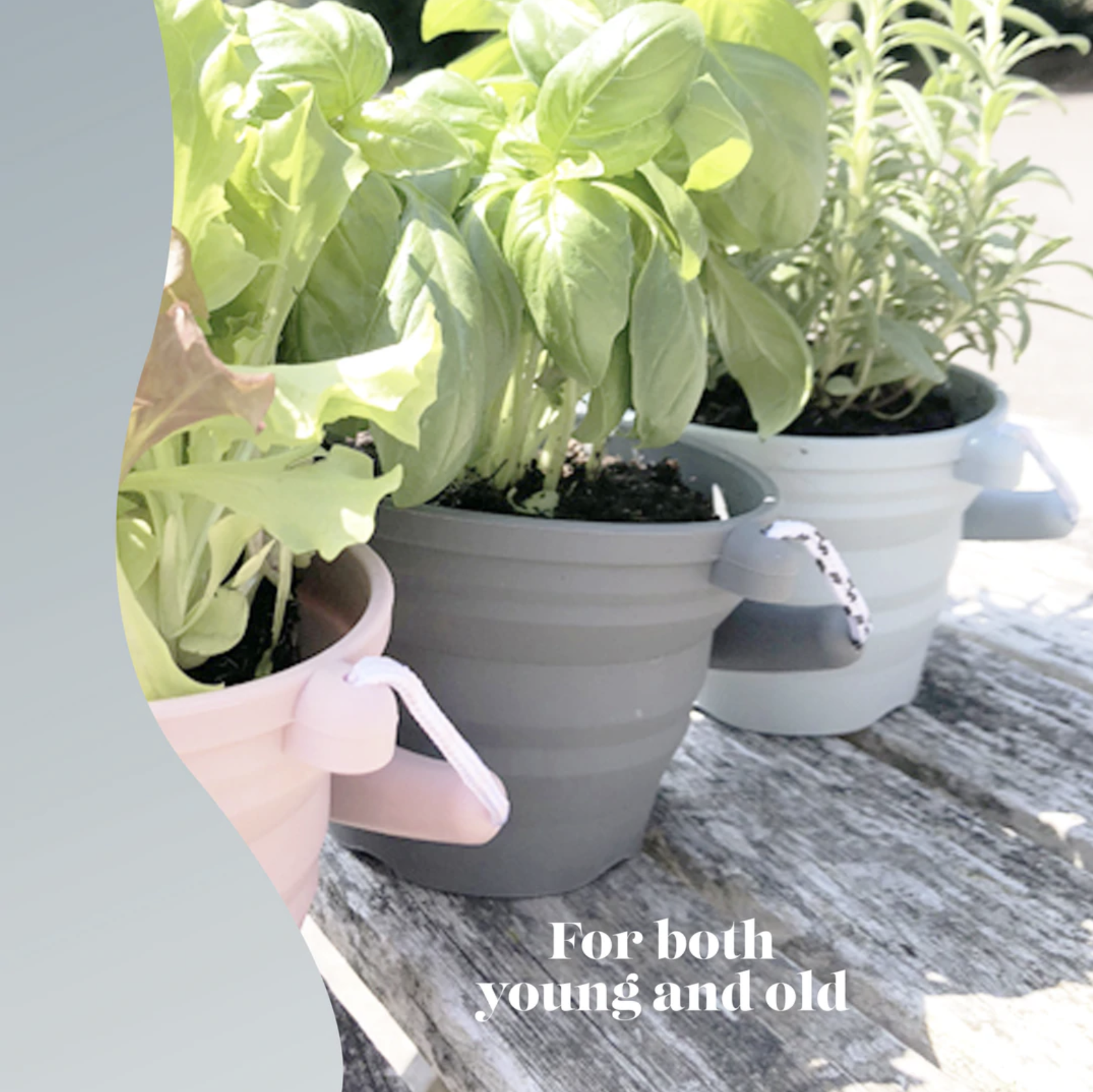 Scrunch Seedling Pot with Spade Image