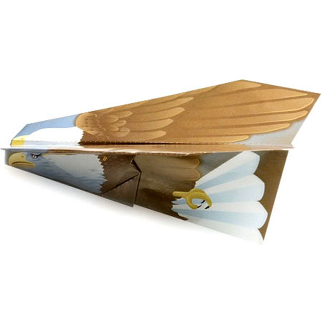 World Record Paper Airplane Book Image