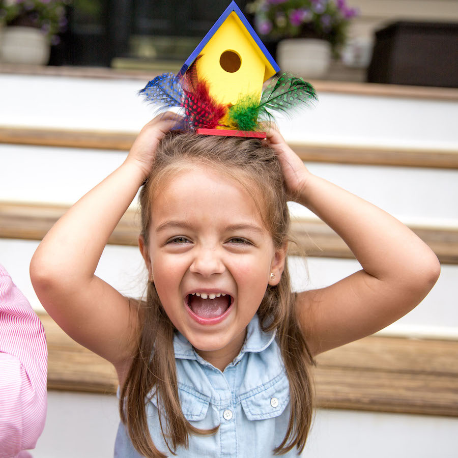 Surprise Ride - Paint a Birdhouse Activity Kit