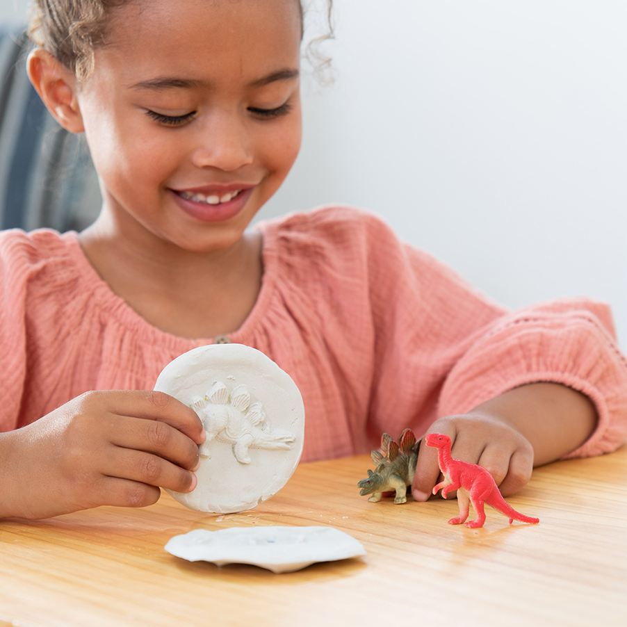 Surprise Ride - Make Dinosaur Fossils Activity Kit