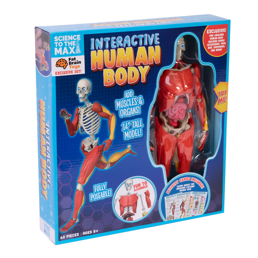 Our Amazing Human Body Science Activity Kit