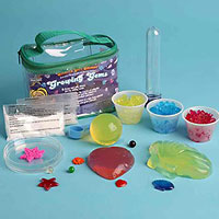 Smarty Girl Science - Growing Gems