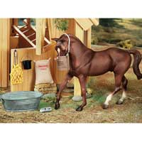 Stable Feeding Set