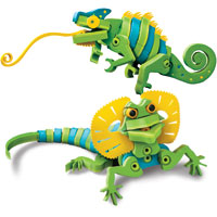 Lizards & Chameleons
