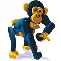 Chimpanzee