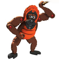 Orangutan