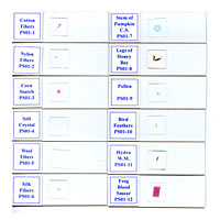Prepared Slides - Elementary Level