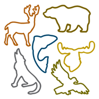Crazy Bands - Wildlife Glow