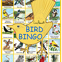 Bingo Game - Birds