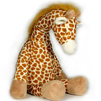 Gentle Giraffe