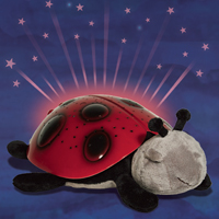 Twilight Ladybug