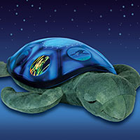 Twilight Sea Turtle