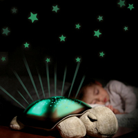 Twilight Turtle