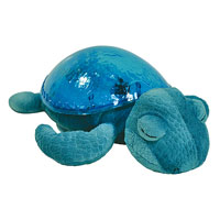 Tranquil Turtle