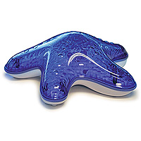 Tranquil Starfish