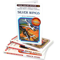 Choose Your Own Adventure - Hero Set