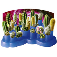 Odd Pods Cactus Garden