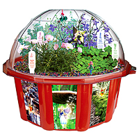 Fairy Triad Dome Terrarium
