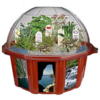 Sensory Dome Terrarium