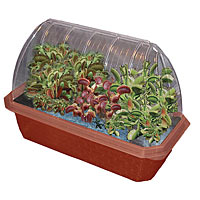 Fly Trap Fiends Windowsill Greenhouse