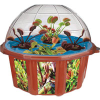 Hydroponics Fly Traps