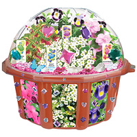 Butterfly Glamour Garden Dome Terrarium