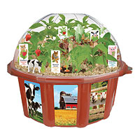 Farmers Garden Dome Terrarium