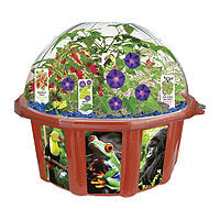 Rainforest Biosphere Dome Terrarium