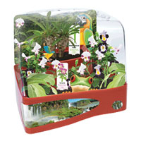 Bi-Level Cool Combination - Rainforest Cloud Garden