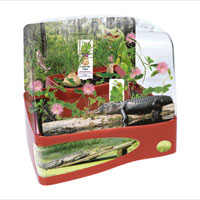 Bi-Level Cool Combination - Swamp Thing Garden