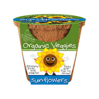 Organic Vegetable Pot - Sunflowers