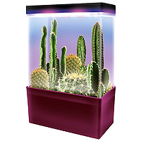 Cactus Garden LED Light Cube