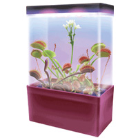 Carnivorous Creatures LED Light Cube