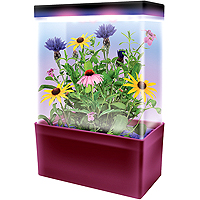 Mini-Meadow LED Light Cube