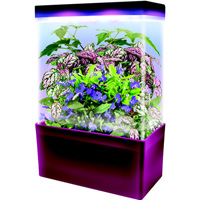 Tropical Jungle LED Light Cube