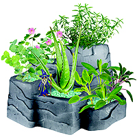 Wizard Mountain Garden