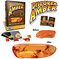 Discover Amber Science Kit