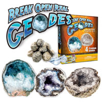 Break Open Real Geodes Starter Science Kit