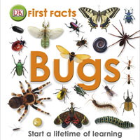First Facts