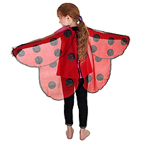 Dreamy Dress-Ups Ladybird Wings