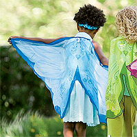 Blue Fairy Wings