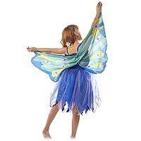 Peacock Bird Wings