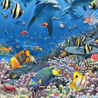 Sea of Life - 2000 pc