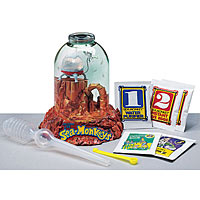 Sea-Monkeys On Mars