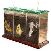 See-Through Compost Container
